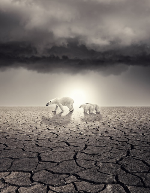 ocieplenie-klimatu-plakaty- (16)